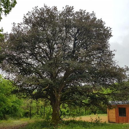 Gites Du Chene Vert Montignac-Lascaux Zewnętrze zdjęcie
