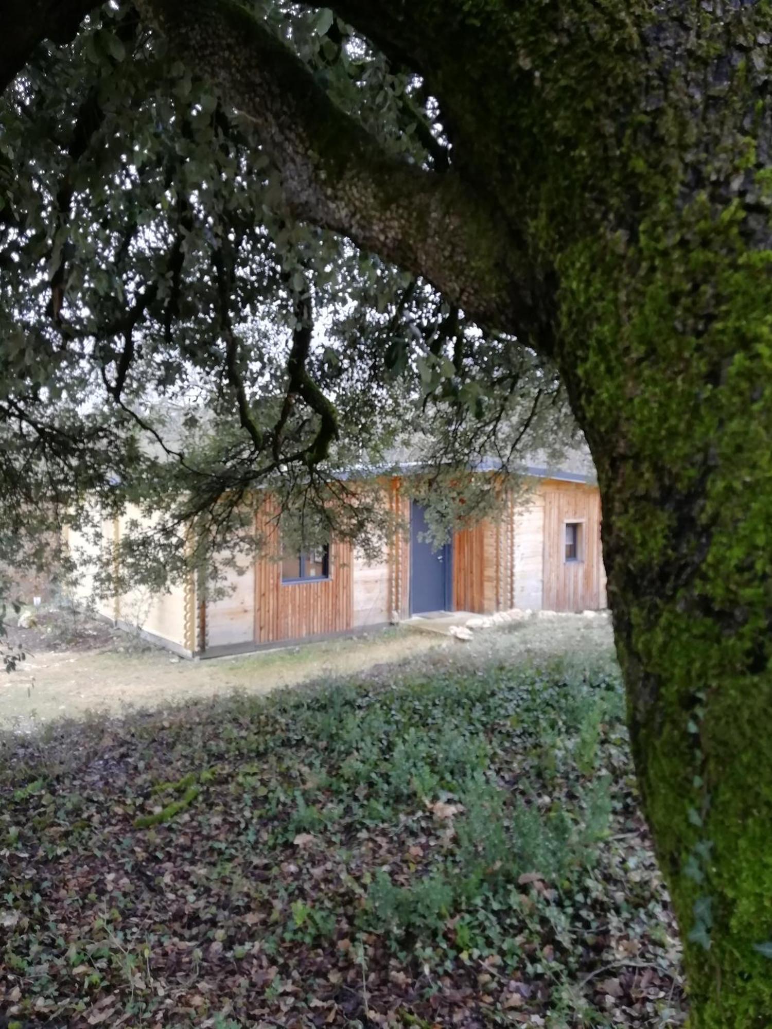 Gites Du Chene Vert Montignac-Lascaux Pokój zdjęcie