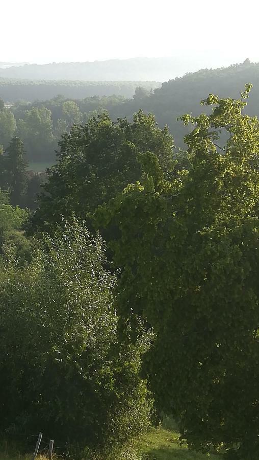 Gites Du Chene Vert Montignac-Lascaux Zewnętrze zdjęcie