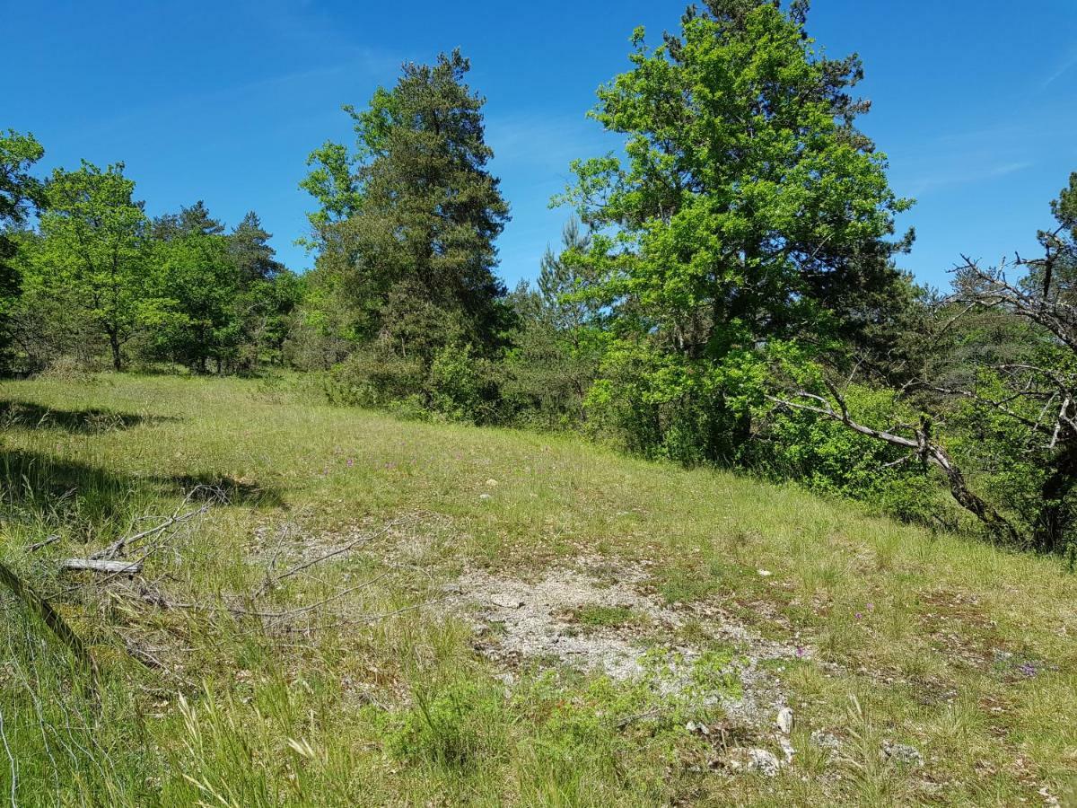 Gites Du Chene Vert Montignac-Lascaux Zewnętrze zdjęcie